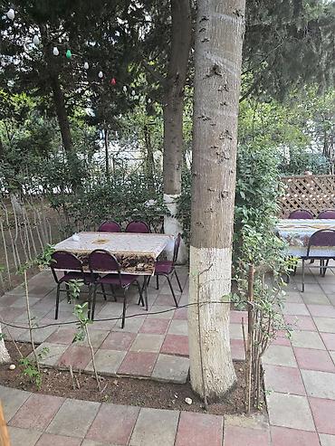 ofsiant bəy: Ofsiant xanım işçi tələb olunur.İş yeri Bakıxanov (razin) asan — 1