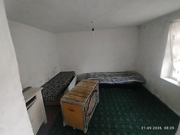 Сдаются одна комнатная времянка с прихожей - Планировка