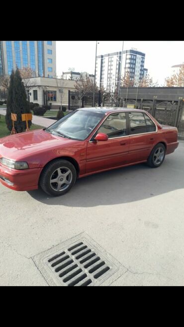 кюлоты бордовые in Кыргызстан | БРЮКИ: Honda Accord 2 л. 1991 | 260000 км