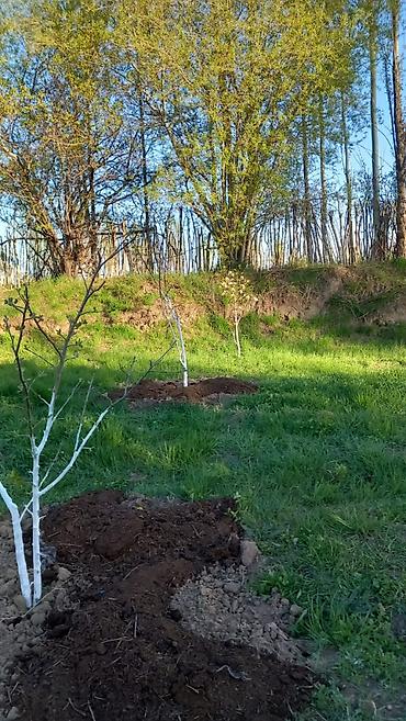 Продажа коттеджей и домов: 🏡Продаётся дом с участком в живописном селе Кара-Ой, на побережье — 10