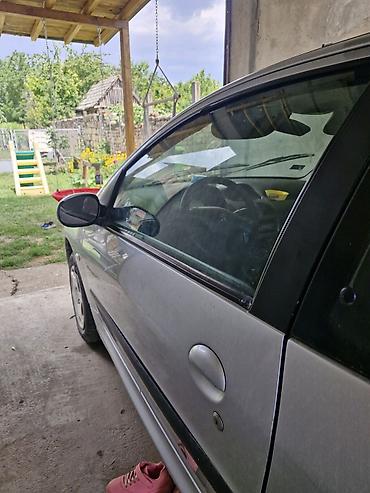 auto kamera 3 u 1: Peugeot 206, hečbek, srebrna boja. Karoserija i spoljašnost: - 5 — 6