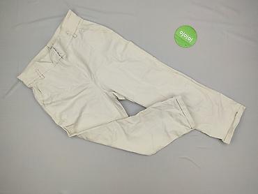 maxx stan: Massimo Dutti, Брюки жіночі, розмір S — 2