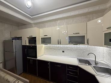 bənovsəyi gul səkilləri: Sifarişlə mətbəx dəsti, Özü çəkən petlələr, DSP — 5