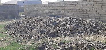 hilba bitkisi nedir: Temiz Hazir Yigilmis kiselerde Quru Peyin kisesi 3 m Cox alan olsa — 7