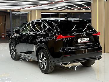 Lexus: Lexus NX: 2020 г., 2 л, Автомат, Бензин, Кроссовер — 6