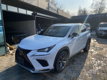 Lexus: Lexus NX: 2019 г., 2 л, Автомат, Бензин