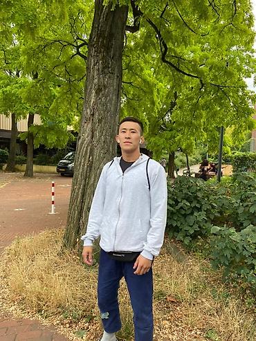 Toyota: Toyota RAV4: 2017 г., 2.5 л, Автомат, Бензин, Кроссовер — 7