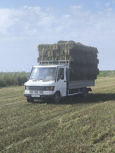 уаз 3033: Грузовик, Mercedes-Benz, Стандарт, 4 т, Б/у — 3