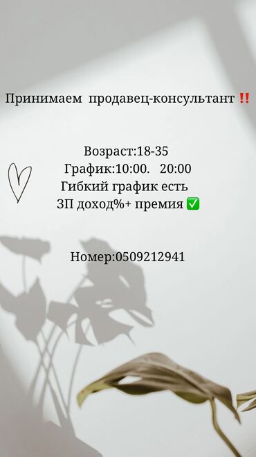 работа в парке: Принимаем продавец-консультант ЗП хорошая С опытом (без опыта тоже