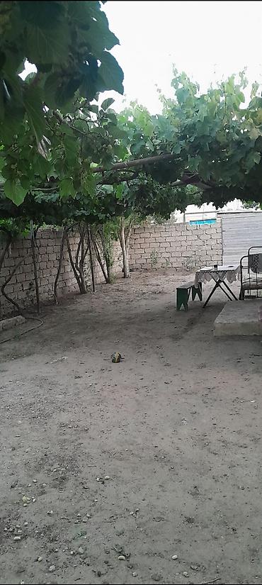 Torpaq sahələrinin satışı: 5 sot, Tikinti, Mülkiyyətçi, Bələdiyyə — 4