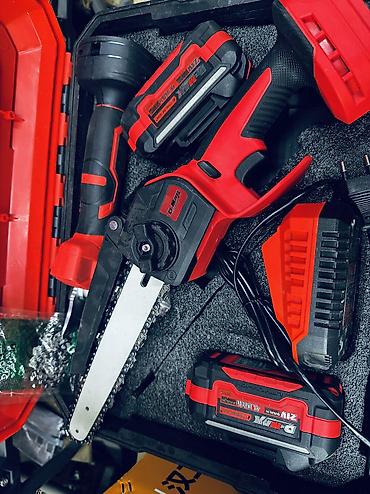навор клуч: Аккумуляторный набор D-MAX: мини-цепная пила + фонарь Состав — 2