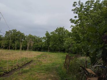 Həyət evləri və villaların satışı: 6 otaqlı, 225 kv. m, Kredit yoxdur, Orta təmir -da lalafo.az — 14 Həyət evləri və villaların satışı: 6 otaqlı, 225 kv. m, Kredit yoxdur, Orta təmir — 14