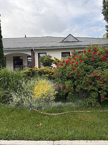 сертификат кут: 2 комнаты, 49 м², Элитка, Цокольный этаж этаж, Евроремонт — 10