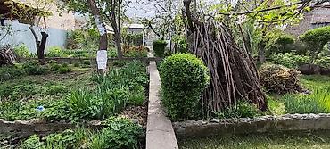 Продажа дач: Продаётся дача с домом и ухоженным участком (с. Нижняя Серафимовна, ДТ — 18