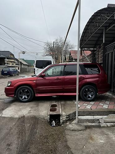 Subaru: Subaru Forester: 2002 г., 2 л, Автомат, Бензин, Универсал — 5