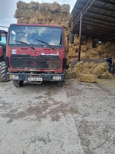 Грузовик, Mercedes-Benz, Стандарт, Б/у at lalafo.kg Грузовик, Mercedes-Benz, Стандарт, Б/у