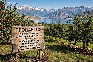 Куплю земельный участок: Продается земельный участок 25 соток, село Бостери, Кыргызстан, озеро — 1
