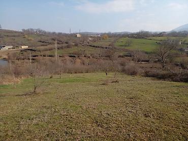 kiraye yolu ile satilan evler: 30 sot, Kənd təsərrüfatı, Mülkiyyətçi — 9