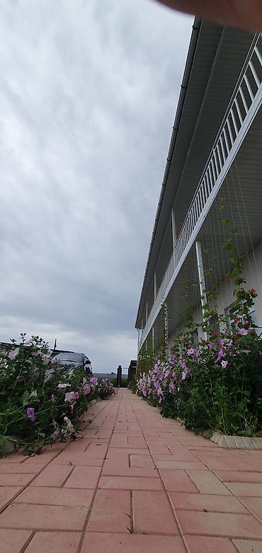 Иссык-Куль 2026: Койко-место at lalafo.kg — 25 Иссык-Куль 2026: Койко-место — 25