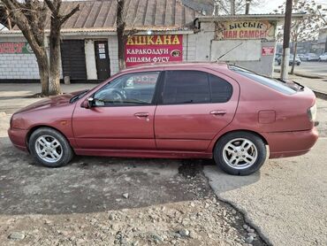 Nissan: Nissan Primera: 2000 г., 2 л, Механика, Бензин