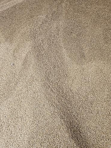 Корма для с/х животных: Силос, буудай, беде спарцет арпа урук та бар сатылат. Сапаты жакшы — 4