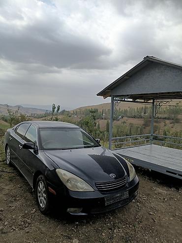аренда toyota windom: Toyota Windom: 2002 г., 3 л, Автомат, Бензин, Седан — 3