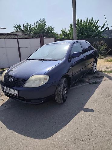 Toyota: Toyota Corolla: 2004 г., 1.6 л, Механика, Бензин, Седан — 6