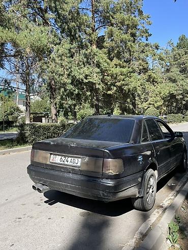 Audi: Audi 100: 1992 г., Седан — 3