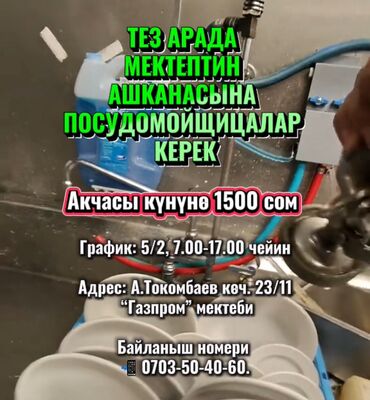 мастера по ремонту стиральных машин: Требуется Посудомойщица, Оплата Сдельная
