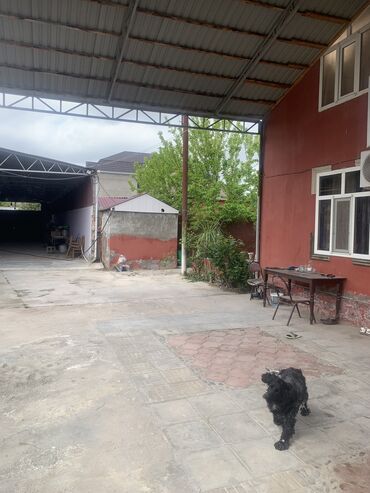 Həyət evləri və villaların satışı: 4 otaqlı, 80 kv. m, Yeni təmirli — 8