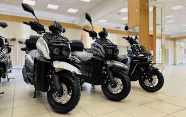 ducati скутер: Скутер Tank, 150 куб. см, Бензин, Новый, В рассрочку