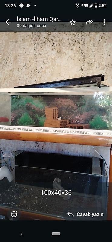 Akvariumlar: Akvariumlar – 2 ədəd 1) Ölçü: 80×30×40 sm - Şüşə akvarium, düz — 7