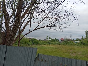 Torpaq sahələrinin satışı: 6 sot, Tikinti, Mülkiyyətçi, Kupça (Çıxarış) — 5