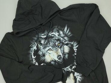 sandały lasocki na koturnie ccc: Wolf, Bluza z kapturem dla mężczyzn, rozmiar 2XL