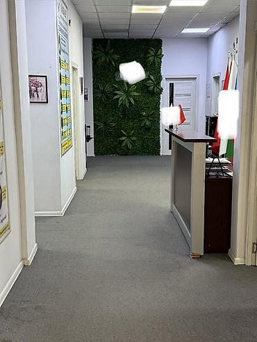 office: Ofis və ya Repetitor Müəllimlər üçün Mərkəz daxilində otaqlar icarəyə — 7