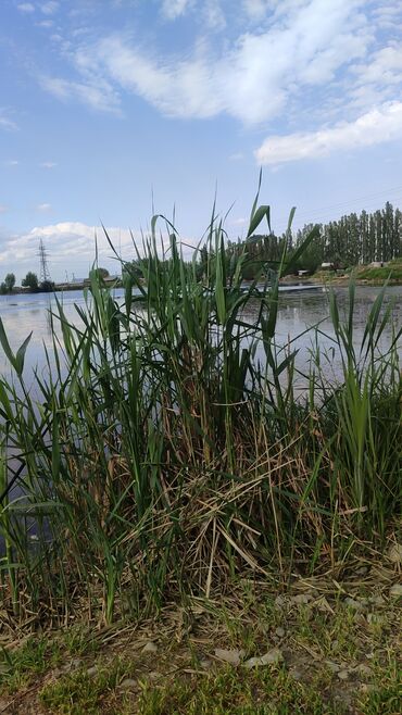 квартира 2 комната в бишкеке: 2 соток Электричество, Водопровод