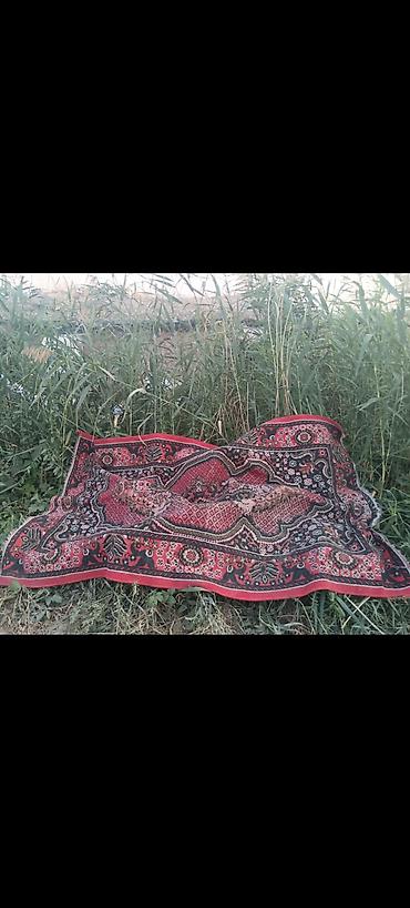 Ковры и паласы: Ковер Б/у, Миллионник, Турция, Безналичная/наличная оплата — 5