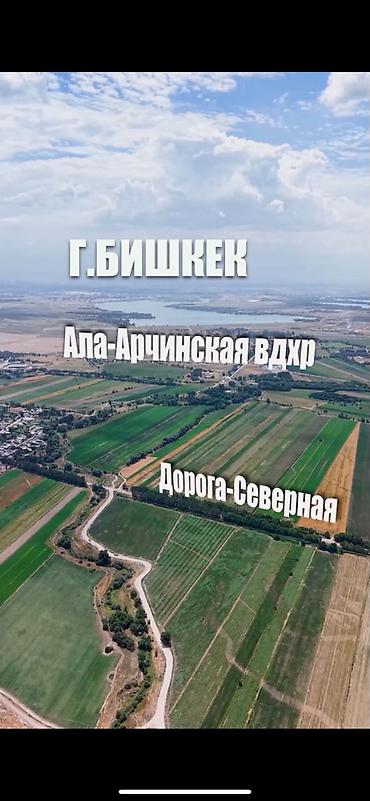 алматинской: 4 соток, Для бизнеса — 2
