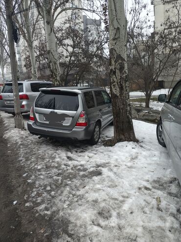 Subaru: Subaru Forester: 2008 г., 2 л, Автомат, Бензин, Кроссовер