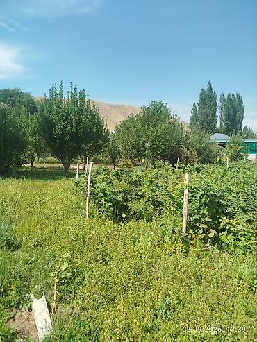 🏡 ПРОДАЁТСЯ УЧАСТОК — 30 СОТОК 📍 Сокулукский район, село Тош-Булак