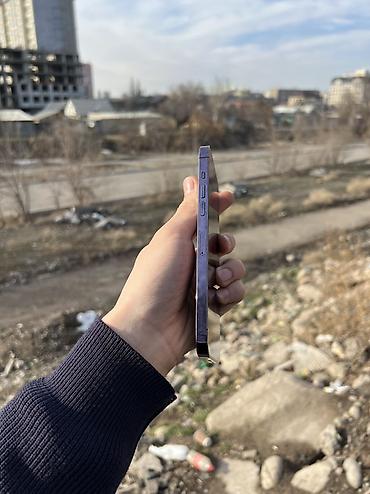 Apple iPhone: IPhone 14 Pro Max, Б/у, 256 ГБ, Deep Purple, Чехол, 83 % at lalafo.kg — 6 Apple iPhone: IPhone 14 Pro Max, Б/у, 256 ГБ, Deep Purple, Чехол, 83 % — 6