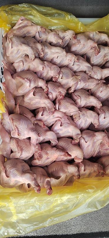 оливковое: Перепела потрошёные, тушка целая - Вид продукта: тушки перепелов без — 1