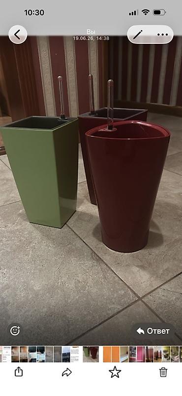 drasena: Özünü suvarma göstəricili dekorativ dibçəklər dəsti - Material — 1
