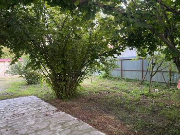 Bağ evlərinin satışı: Bakı, 1200 kv. m, 5 otaqlı, Hovuzsuz, İnternet, Artezian quyusu, Su -da lalafo.az — 16 Bağ evlərinin satışı: Bakı, 1200 kv. m, 5 otaqlı, Hovuzsuz, İnternet, Artezian quyusu, Su — 16