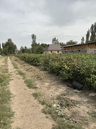 поля поливная: 12 соток, Для сельского хозяйства, Красная книга — 10