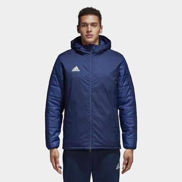 зимние куртки мужские the north face: Куртка S (EU 36), цвет - Синий