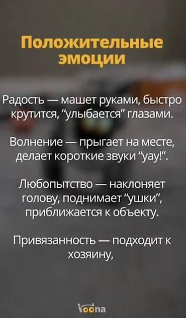 console games: Интерактивный робот‑питомец с ИИ Основные возможности: - — 3