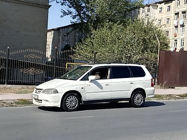 есть вложение: Honda Odyssey: 2000 г., 2.3 л, Автомат, Газ, Минивэн — 1