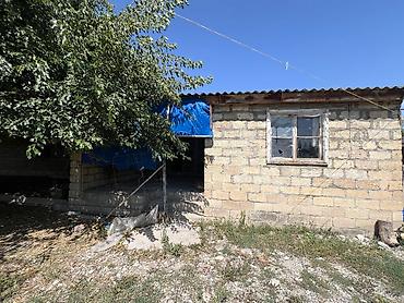 ev satilir type 1: 140 sot, Tikinti, Mülkiyyətçi, Kupça (Çıxarış) — 8