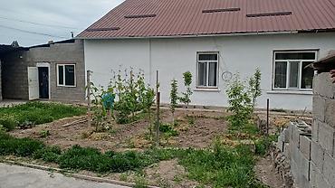 Продажа барачных домов: Продаётся дом 🏠 в городеТокмокСахзавод, барачного типа, из четырех — 23